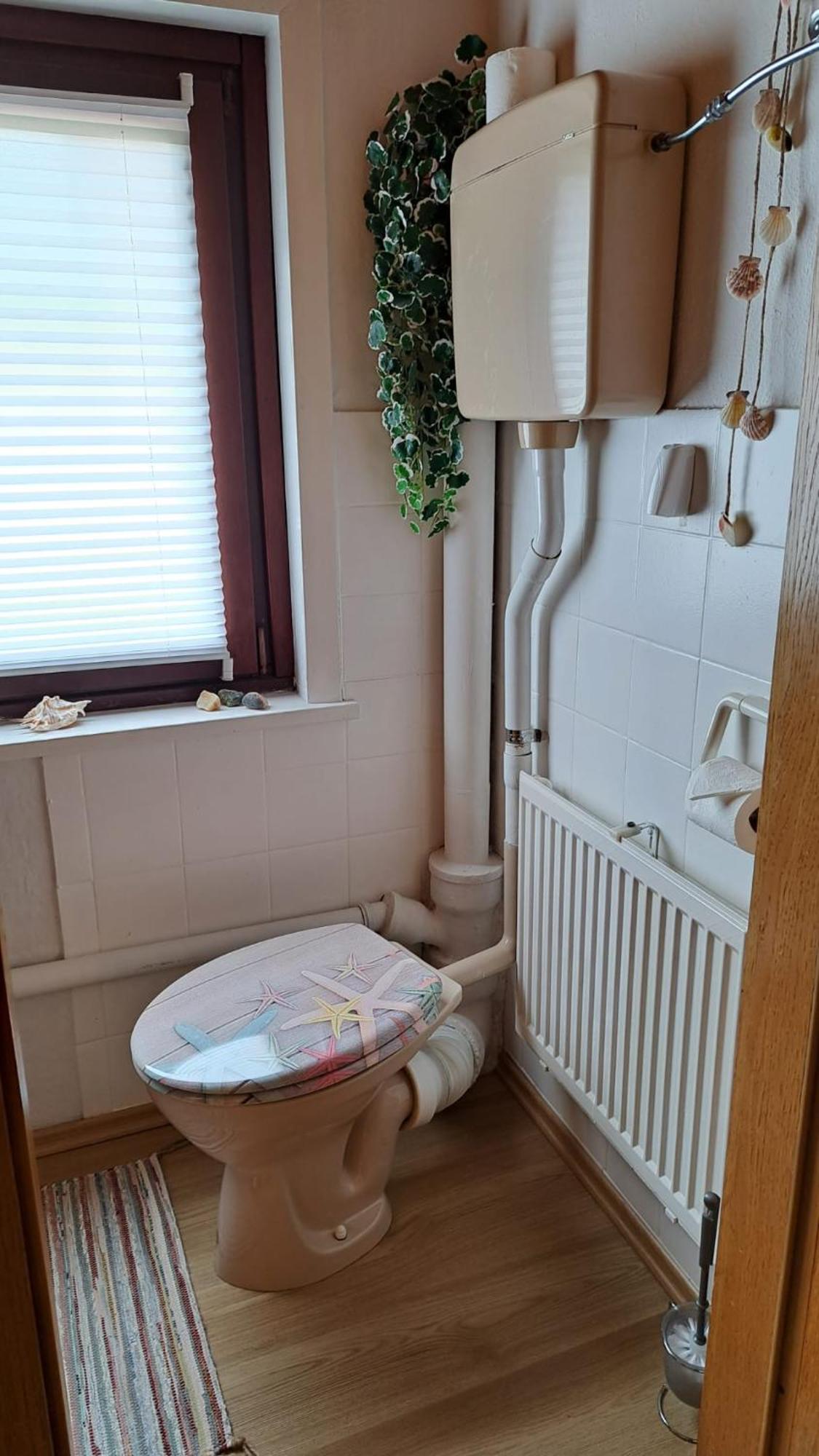 בראונלאגה Ferienwohnung Friedrichsruh מראה חיצוני תמונה