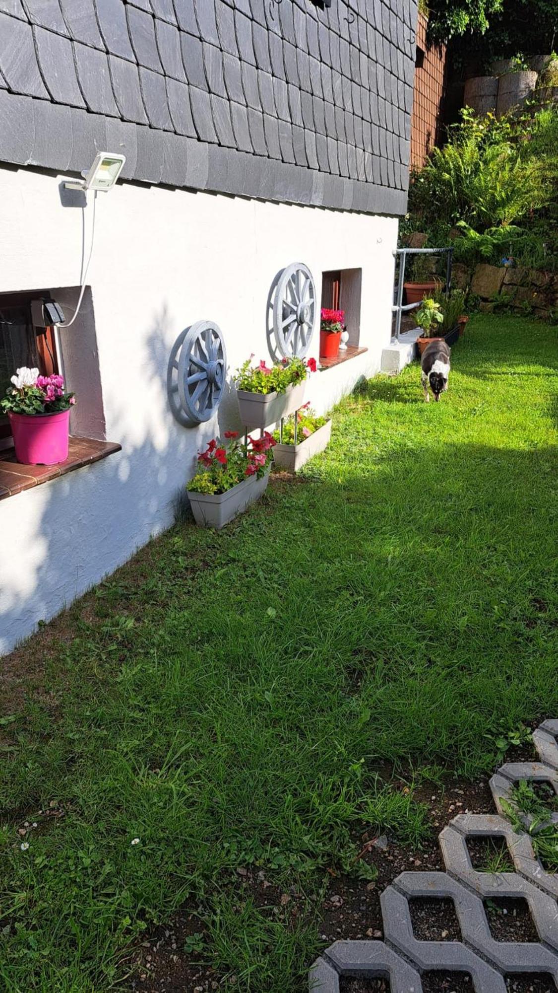 בראונלאגה Ferienwohnung Friedrichsruh מראה חיצוני תמונה